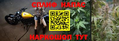 гидропоника Пугачёв