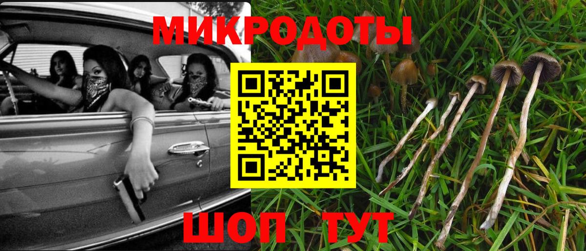 Галлюциногенные грибы мицелий  Вход с VPN  Псилоцибиновые грибы Psilocybine cubensis  цены наркотик  Обнинск 