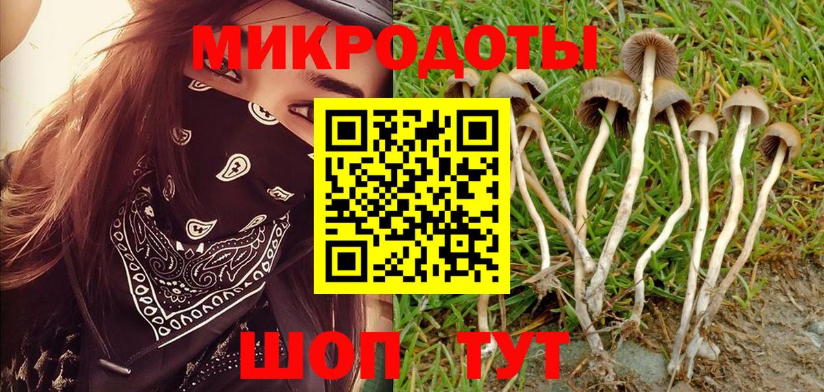 Псилоцибиновые грибы мухоморы Обнинск